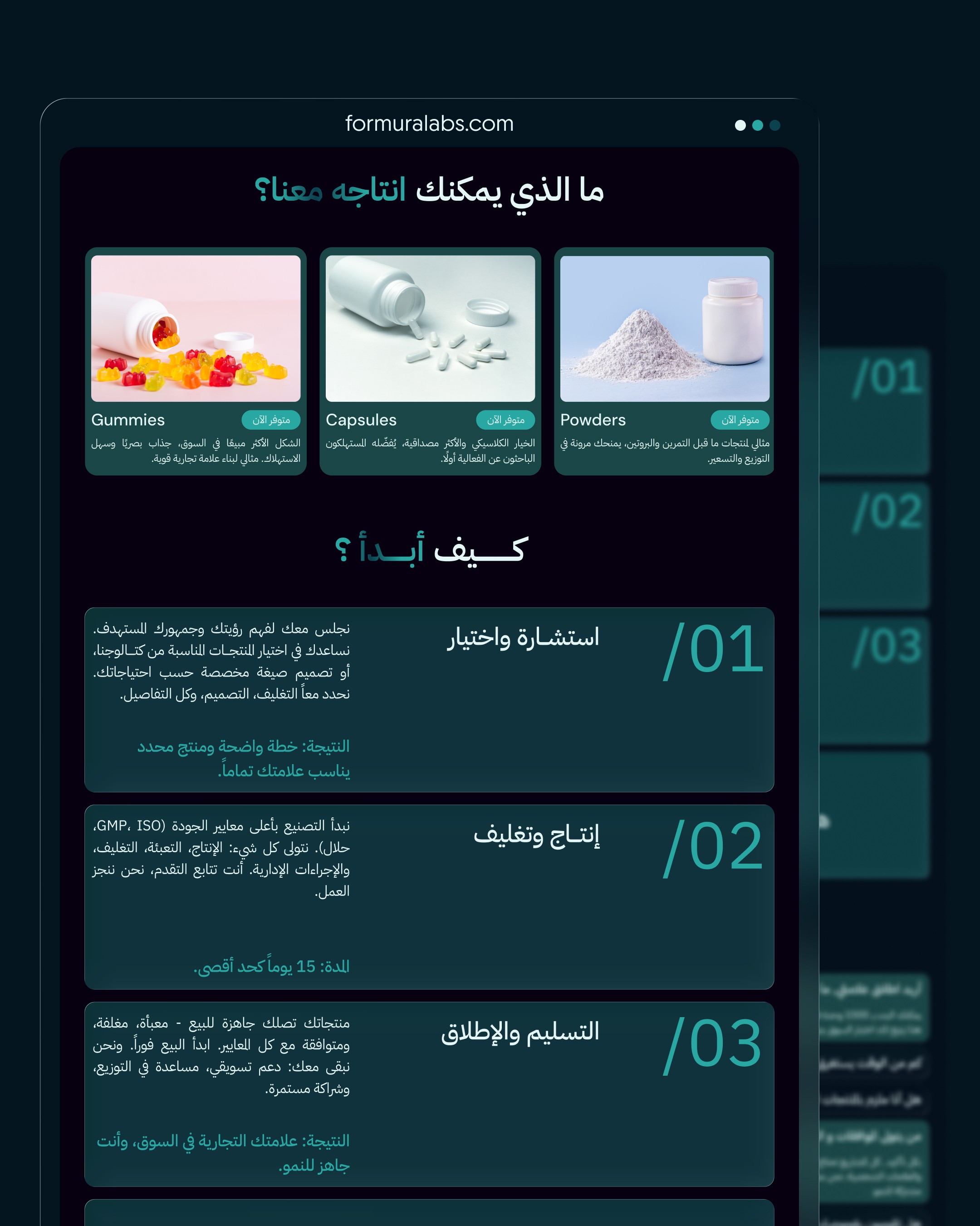 Website Design